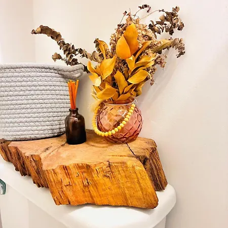 Apartamento Casa Vintage Ctg *